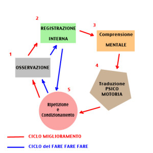 ciclo MIGLIORAMENTO